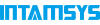 Intamsys